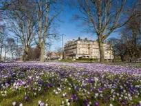 Harrogate UK Spring Flowers